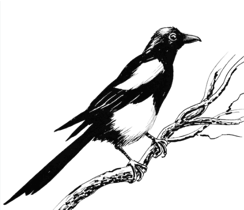0602edzn-18fe-498x427.png