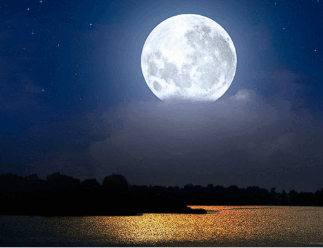 0602ee1j-6799-469x361.png