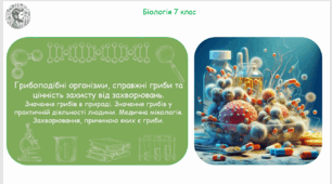 Урок на тему "Грибоподібні організми, справжні гриби та цінність захисту від захворювань. Значення грибів в природі. Значення грибів у практичній діяльності людини. Медична мікологія" (Конспект, презентація, робочі аркуші)