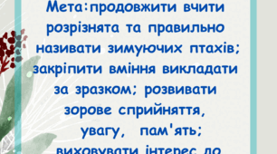Дидактична гра "Біля годівнички"
