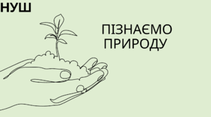 Яких перетворень зазнають речовини? 