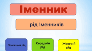 Іменник. Рід іменників