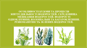 Презентація "Особливості будови та процесів життєдіяльності водоростей. Середовища мешкання водоростей. Водорості одноклітинні, колоніальні та багатоклітинні. Різноманітність зелених водоростей."