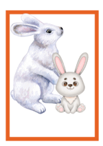 0602en5z-7861-150x212.png