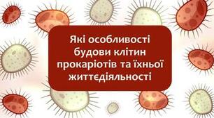 Особливості будови клітини прокаріотів та їх процесів життєдіяльності.НУШ  (тестові завдання)
