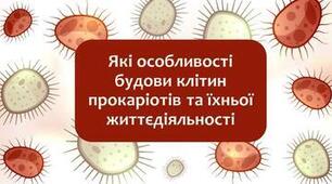  Особливості будови клітини прокаріотів та їх процесів життєдіяльності.НУШ