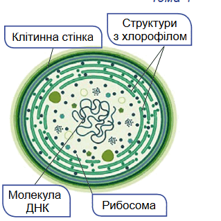 0602eph8-4640-320x320.png