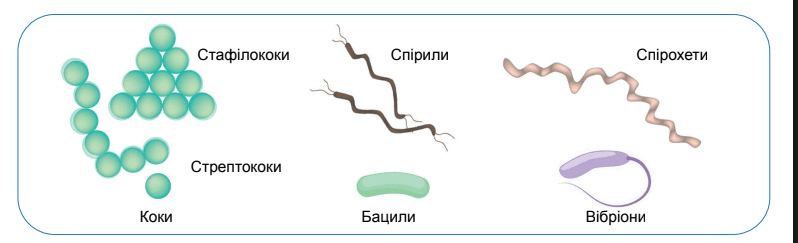 0602epii-b113-798x243.png