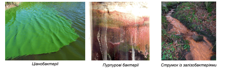 0602epjx-d27d-764x234.png