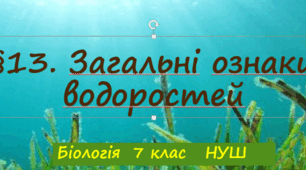 Презентація "Загальні ознаки водоростей"  7клас НУШ