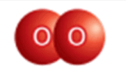 0602erq6-bab3-184x114.png