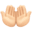 🤲🏻