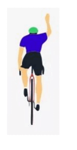 0602eslr-6437-259x503.png