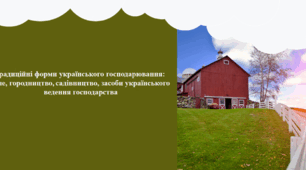 Традиційні форми українського господарювання:  поле, городництво, садівництво, засоби українського ведення господарства