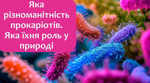 Яка різноманітність прокаріотів. Яка їхня роль у природі. НУШ