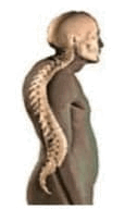 0602evcg-30c5-126x192.png