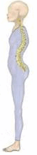 0602eveh-b38f-54x222.png