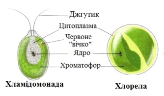 0602f269-d1ae-334x196.png