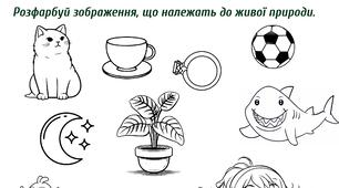 Жива і нежива природа