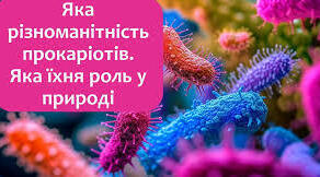 Яка різноманітність прокаріотів. Яка їхня роль у природі. НУШ