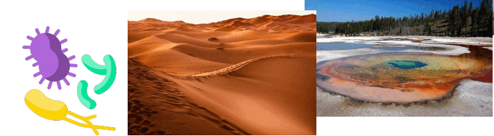 0602f5uv-53af-712x197.png