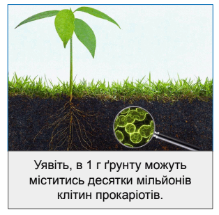 0602f5z2-9afa-314x309.png