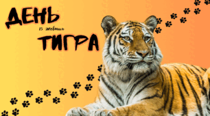 ПРЕЗЕНТАЦІЯ НА ТЕМУ: 15 жовтня - День тигра
