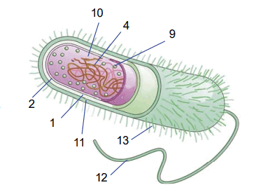 0602f6e4-3900-383x274.png