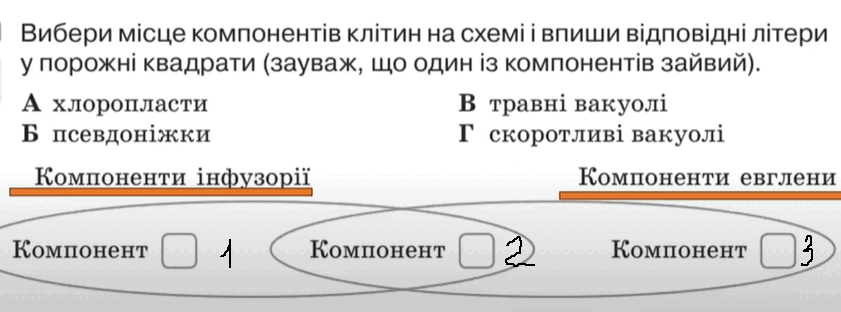 0602f6la-12f3-841x312.png