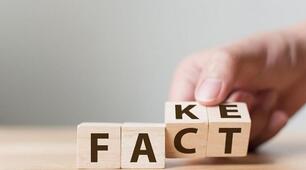 Гра "Fact or Fake"