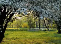 0602f8mm-6772-212x154.webp