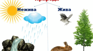 Тест