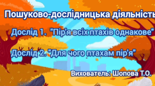 Пошуково-дослідницька діяльність "Чи однакове пір'я у птахів"