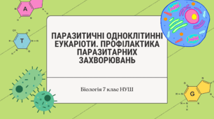 ПРЕЗЕНТАЦІЯ+КОНСПЕКТ. Паразитичні одноклітинні еукаріоти. Профілактика паразитарних захворювань. (7 клас НУШ)