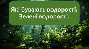 Самостійна робота  з теми: Які бувають водорості. Зелені  водорості.