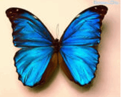 0602fboa-a168-238x191.png