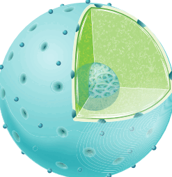 0602fgch-fea6-247x254.png