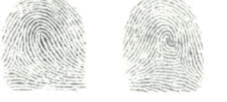 0602fgf6-cd00-328x147.png