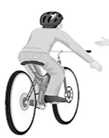 0602fh95-0914-214x271.png