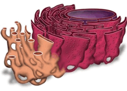 0602fij7-6fce-249x178.png