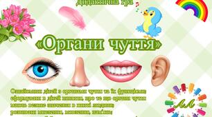 Дидактична гра «Органи чуття»