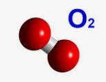 0602flaq-f678-155x119.png