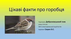 Презентація "Цікаві факти про горобця" (Добриневський Ілля)