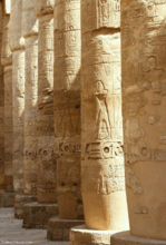 0602flwu-7628-149x220.png
