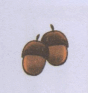 0602fncu-70f8-110x116.png