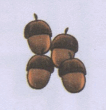 0602fncw-173d-106x110.png