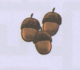 0602fnir-e103-116x102.png
