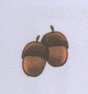0602fnl4-7c5d-88x94.png