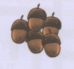 0602fnlc-c8fc-108x100.png