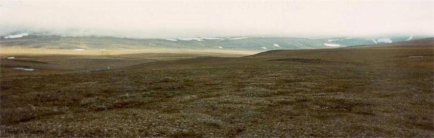 0602fnyb-f76e-850x270.jpg